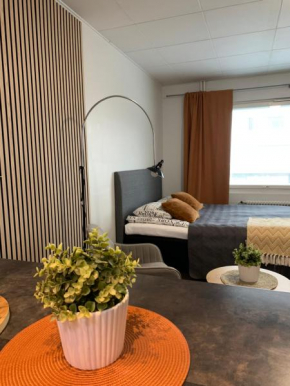 Starhomes Studio in the city center B13, Oulu